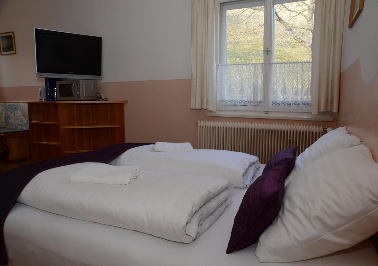 Pension Sonnenheim Rooms&Apartments Gmund in Karnten Phòng bức ảnh